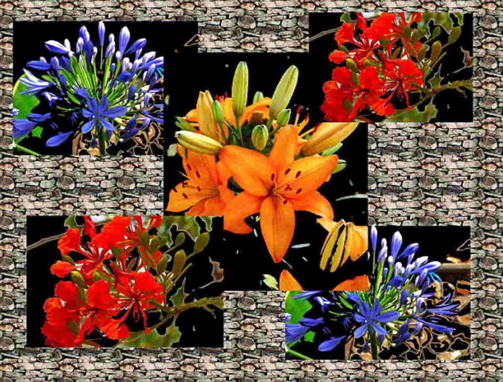 Virgo Flower Options