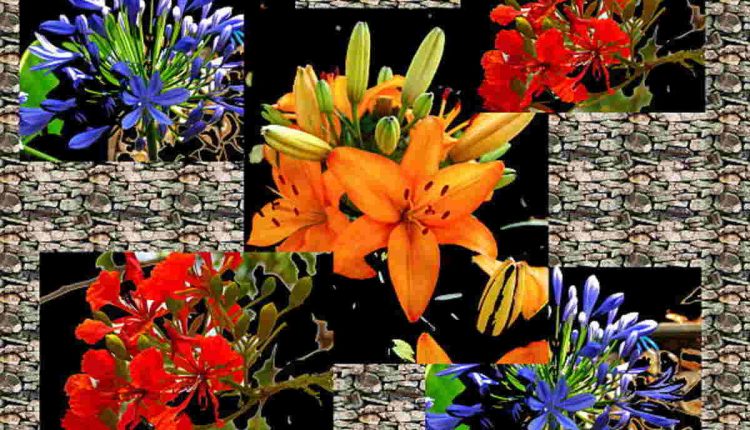 Virgo Flower Options