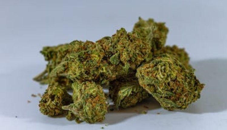 moon chocolate bar 250mg