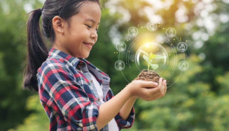 The 7 Stages of Business Growth