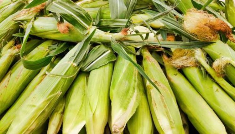 Prestage Foods of Iowa