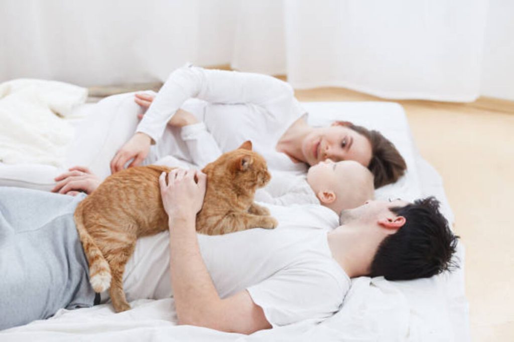 Petting 3 Ways to Build Intimacy