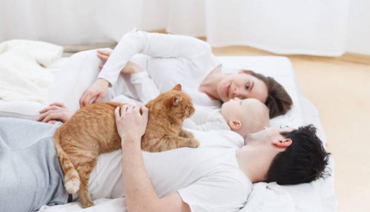 Petting 3 Ways to Build Intimacy