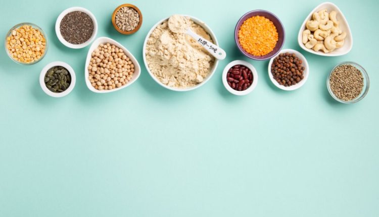 plant-based protein sources